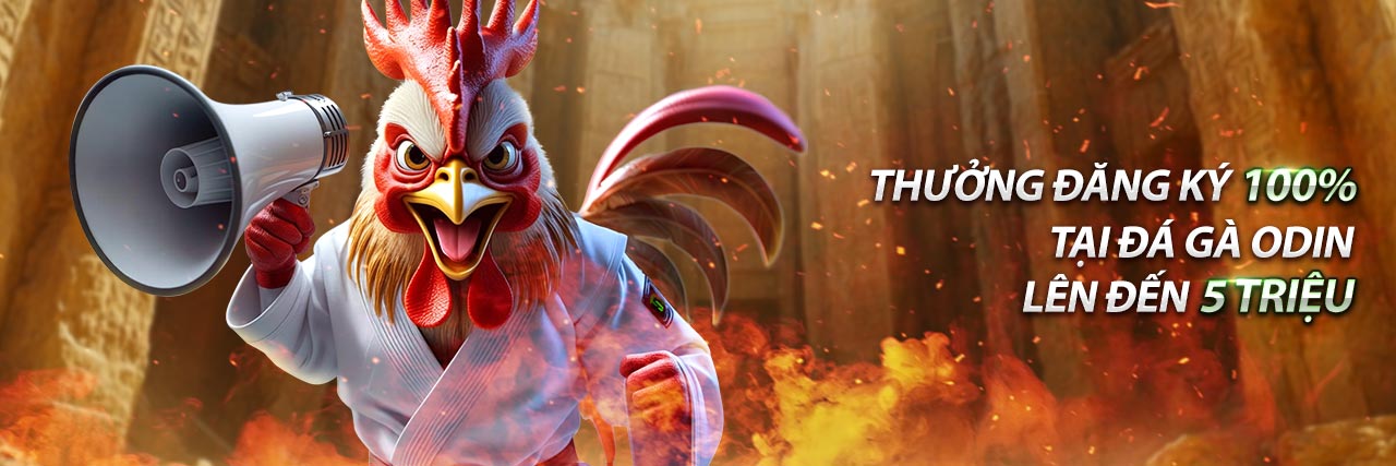 Hình ảnh một trận đá gà truyền thống, biểu tượng của bet66 và ưu đãi đăng nhập tặng 188k